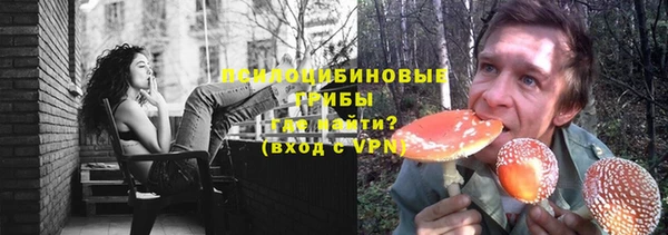 эйфоретик Вяземский
