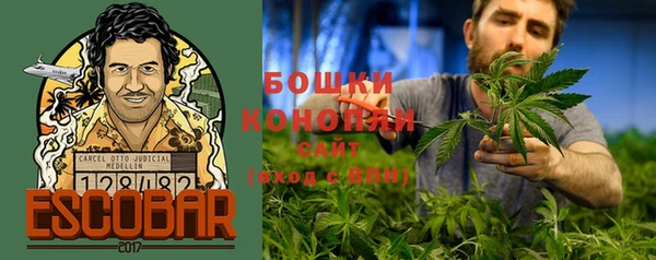 эйфоретик Вяземский