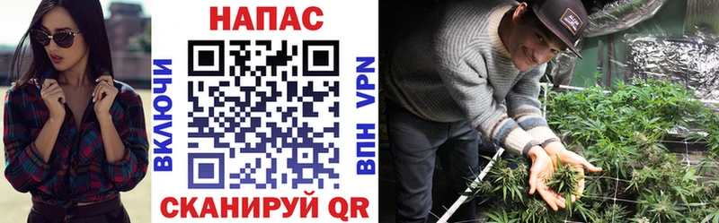 Купить где  Тихвин  Каннабис планчик 